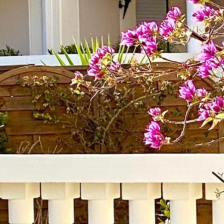 Superbe Appartement Proche Croisette Cannes * Cannes