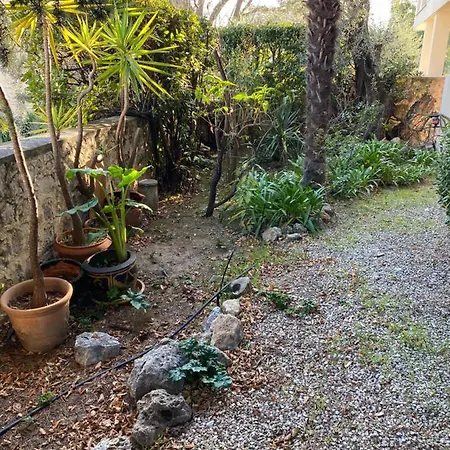 Superbe Appartement Proche Croisette Cannes